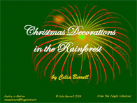 Christmas Decorations in the Rainforest