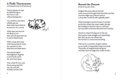 Intro-pages-2